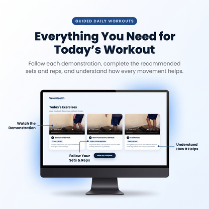 120+ Day VelorBoard Video Program